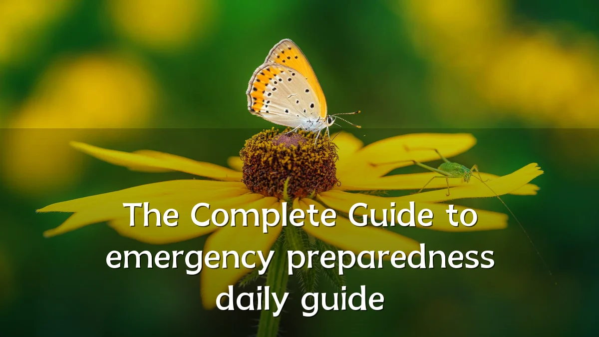 The Complete Guide to emergency preparedness daily guide