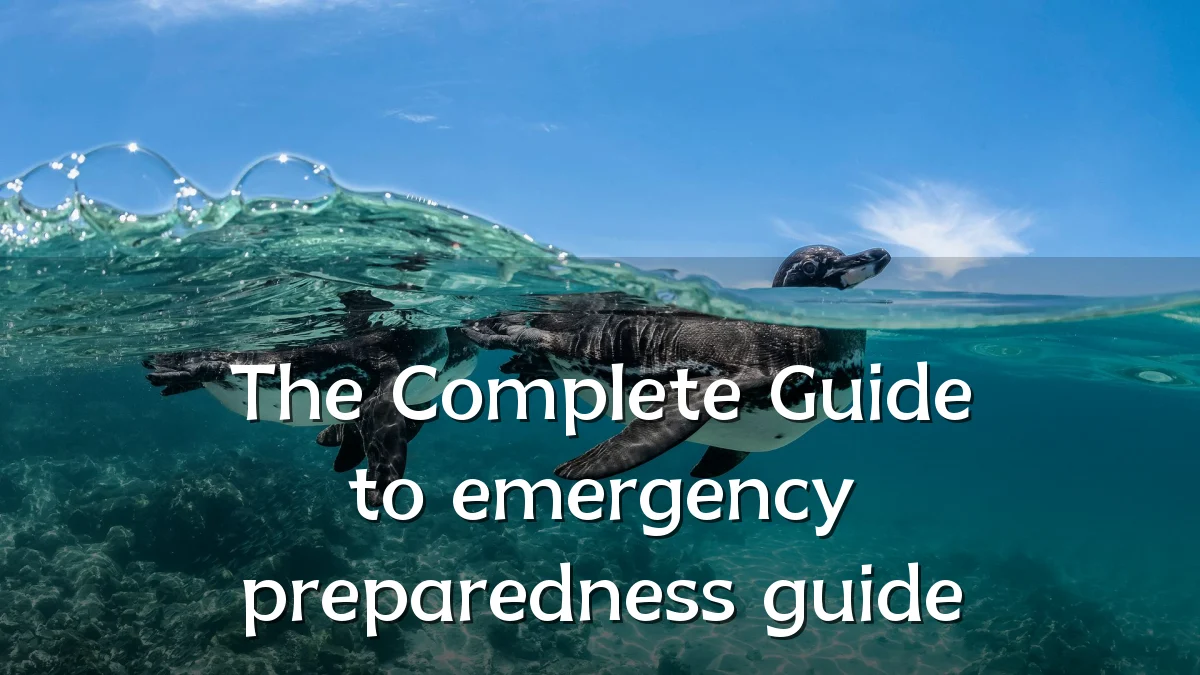 The Complete Guide to emergency preparedness guide