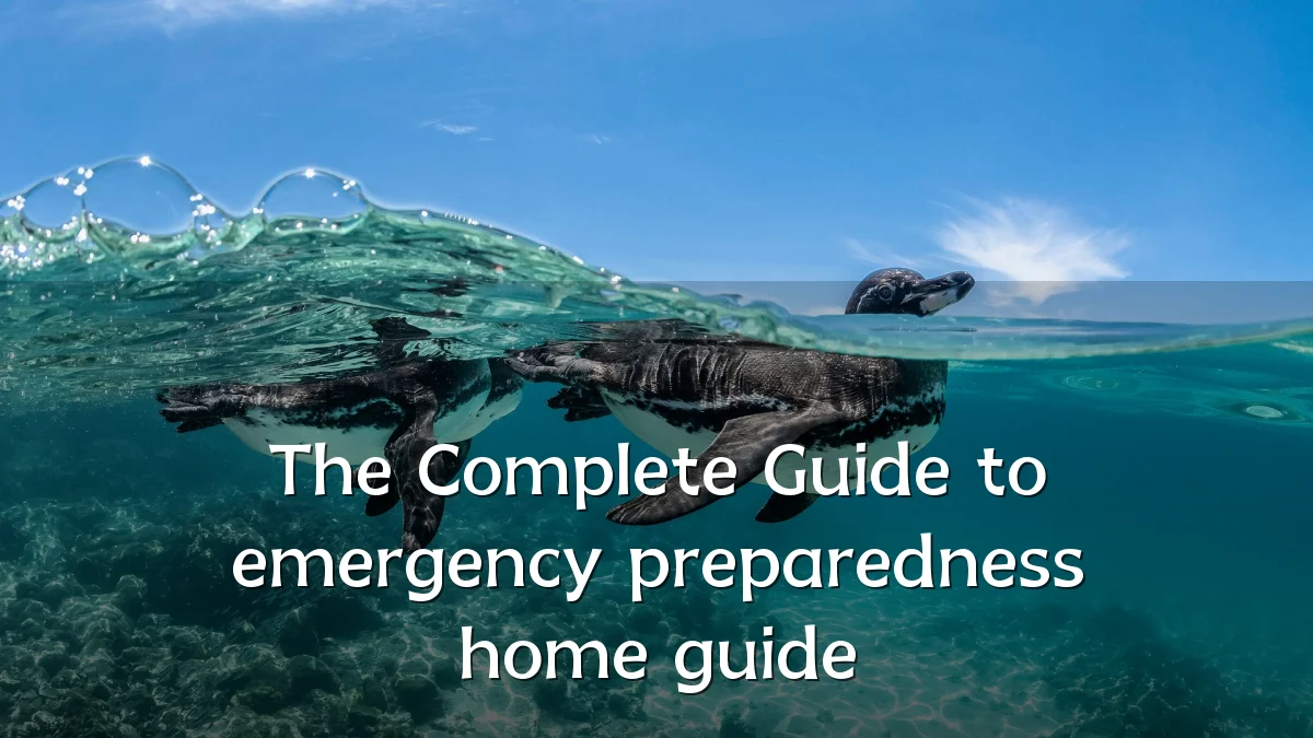The Complete Guide to emergency preparedness home guide
