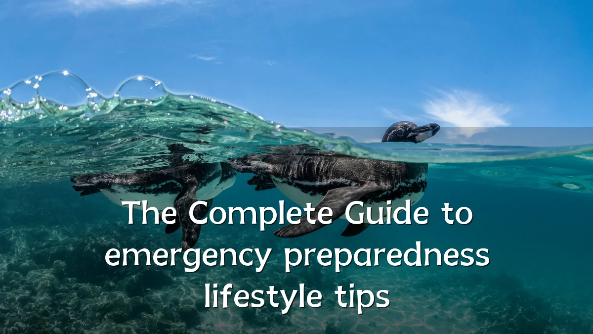 The Complete Guide to emergency preparedness lifestyle tips