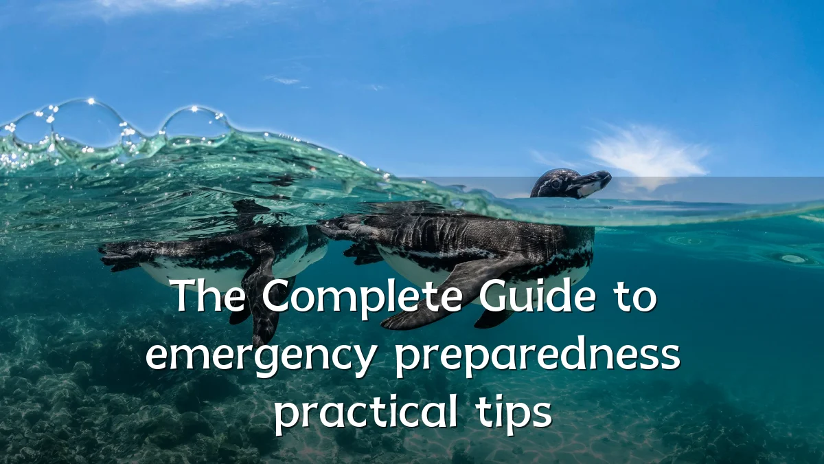 The Complete Guide to emergency preparedness practical tips