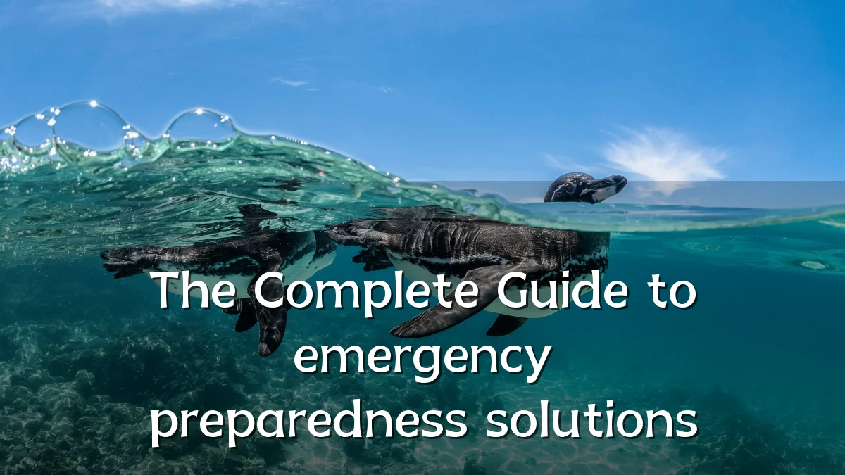 The Complete Guide to emergency preparedness solutions