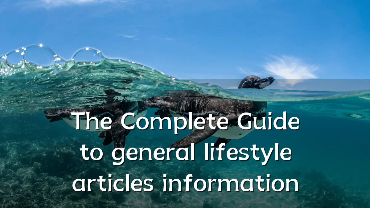 The Complete Guide to general lifestyle articles information