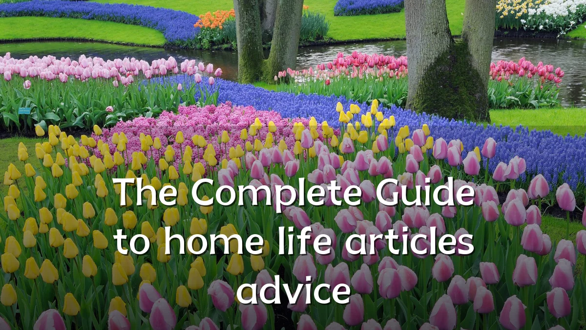 The Complete Guide to home life articles advice