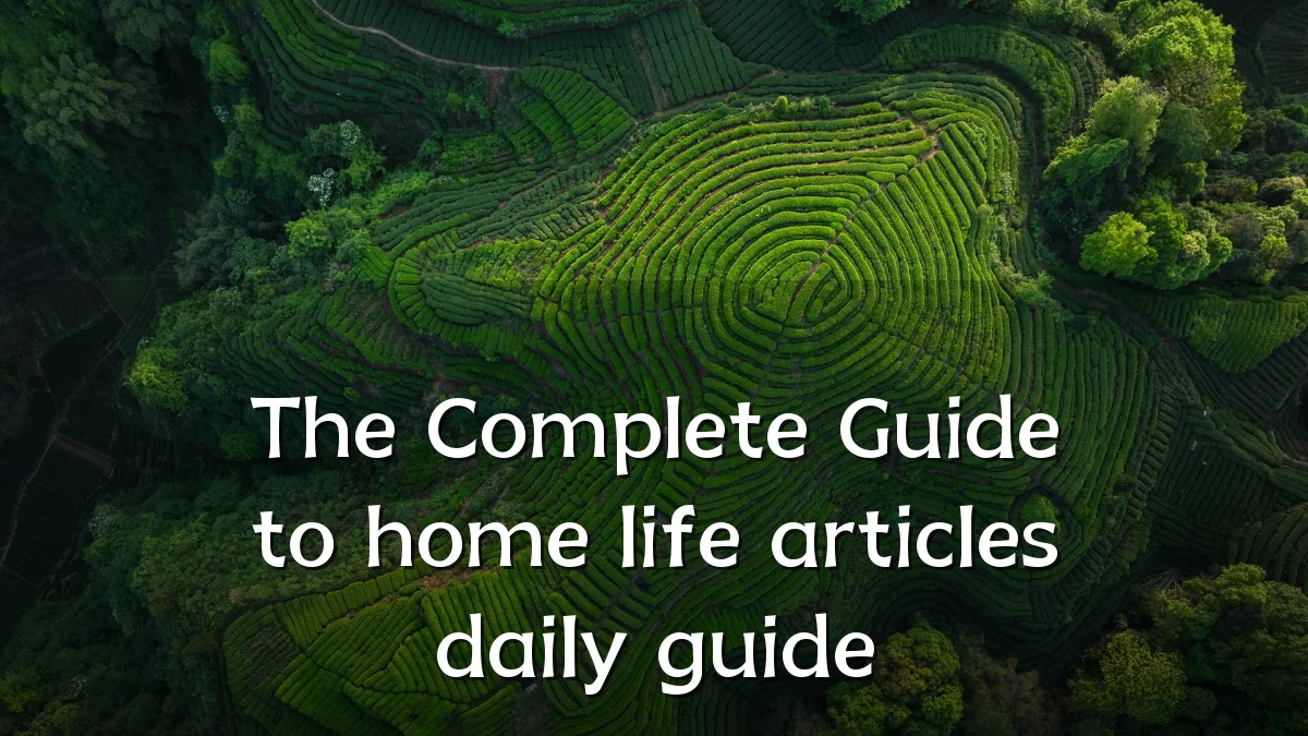 The Complete Guide to home life articles daily guide