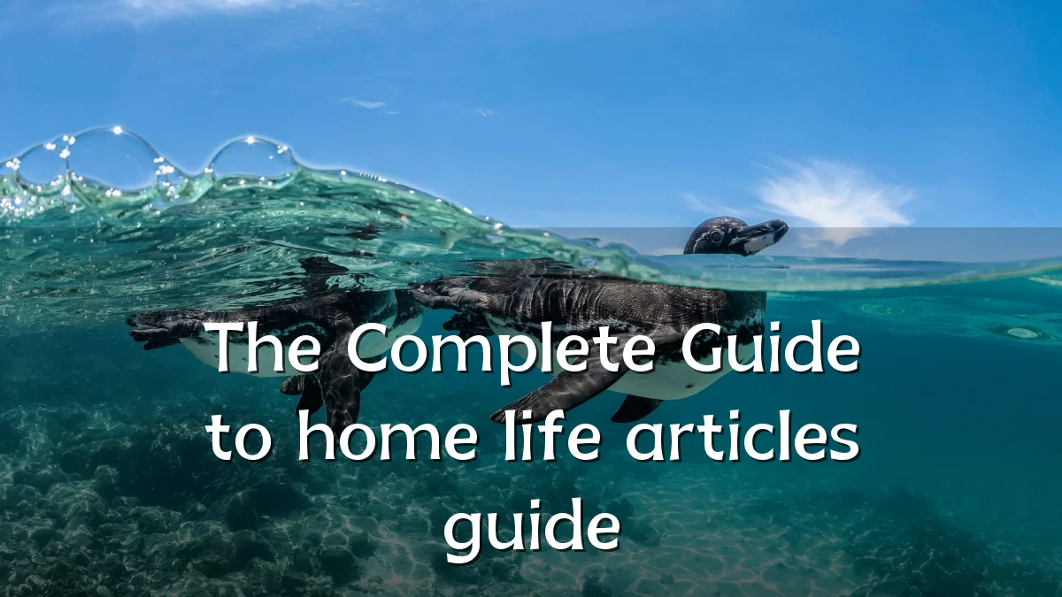 The Complete Guide to home life articles guide