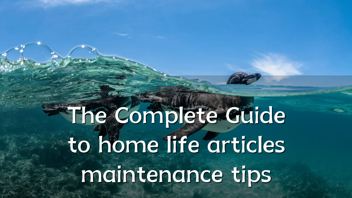 The Complete Guide to home life articles maintenance tips