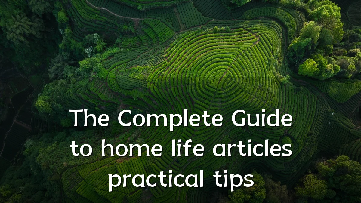 The Complete Guide to home life articles practical tips