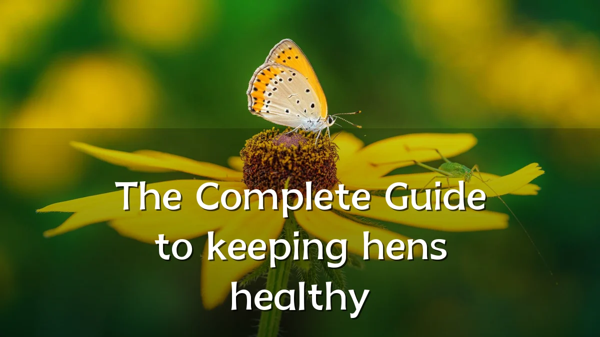 The Complete Guide to keeping hens healthy