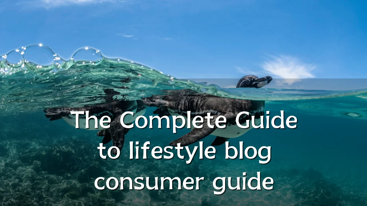 The Complete Guide to lifestyle blog consumer guide