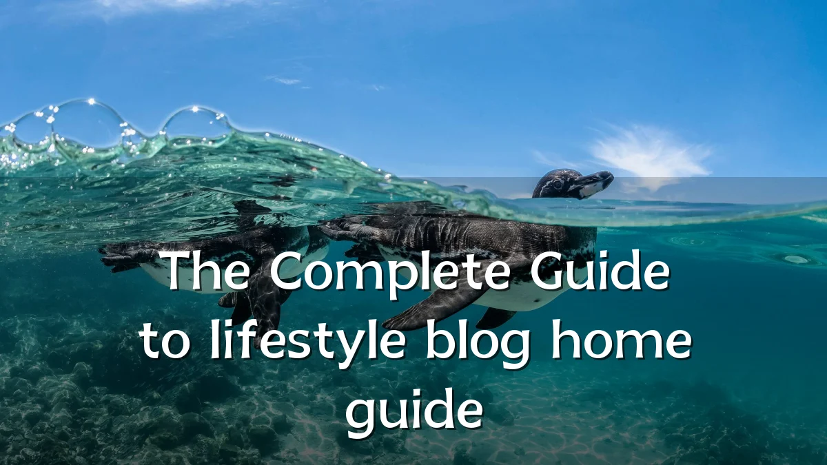 The Complete Guide to lifestyle blog home guide