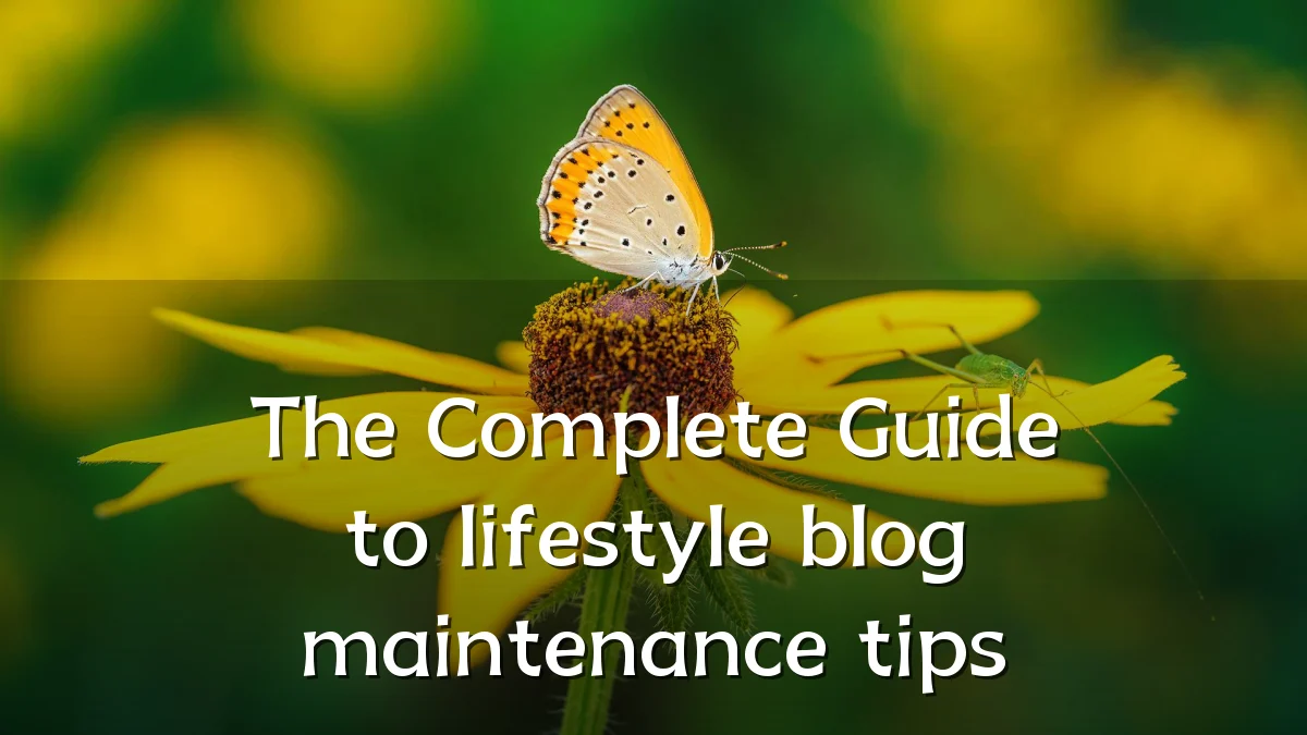 The Complete Guide to lifestyle blog maintenance tips