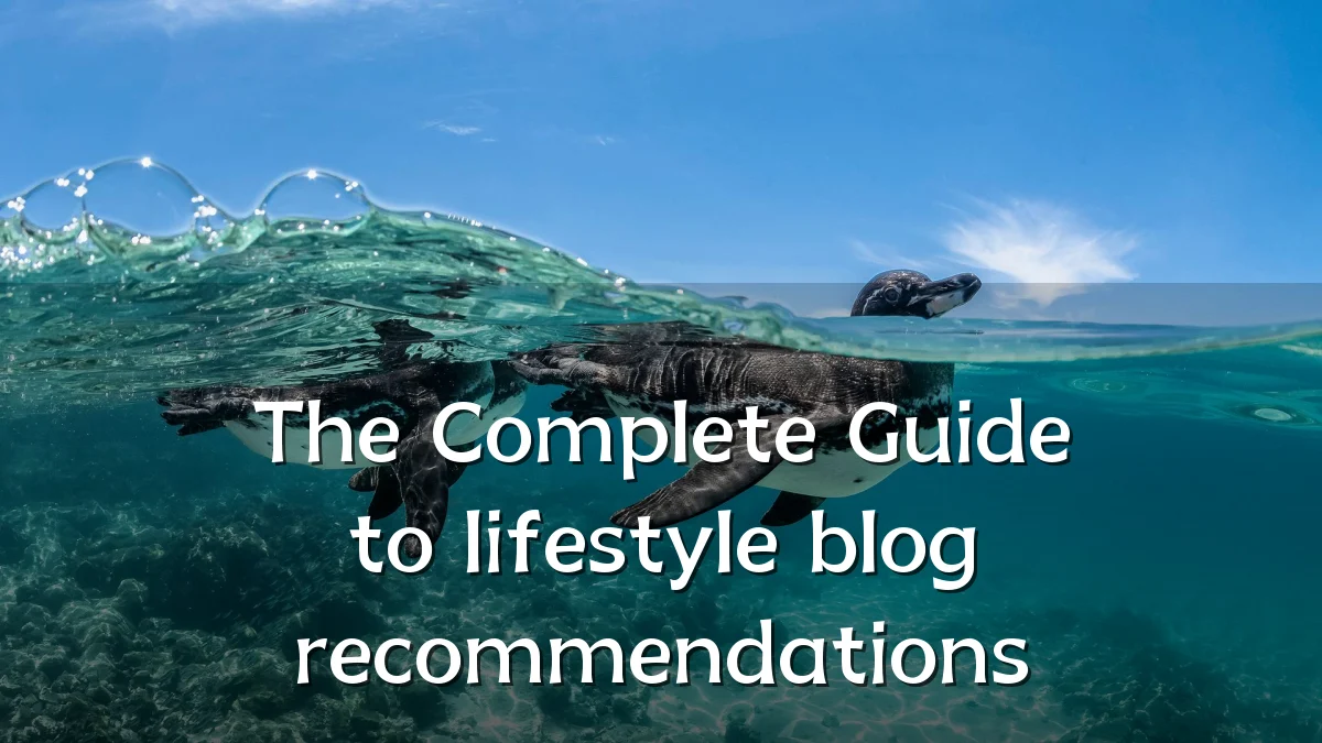 The Complete Guide to lifestyle blog recommendations