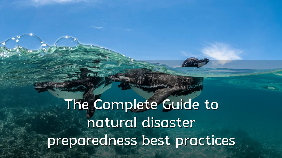 The Complete Guide to natural disaster preparedness best practices