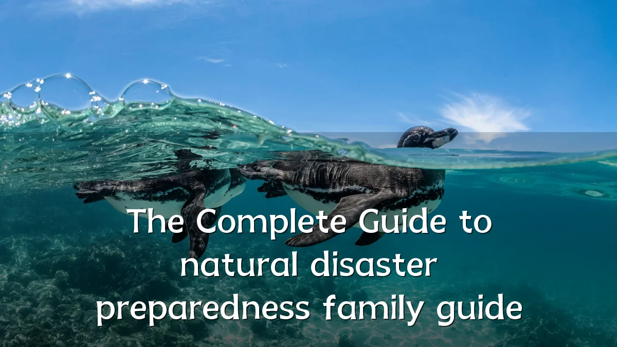 The Complete Guide to natural disaster preparedness family guide
