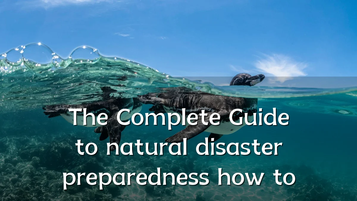 The Complete Guide to natural disaster preparedness how to