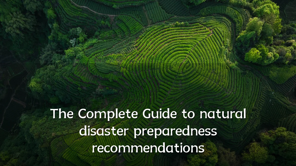 The Complete Guide to natural disaster preparedness recommendations