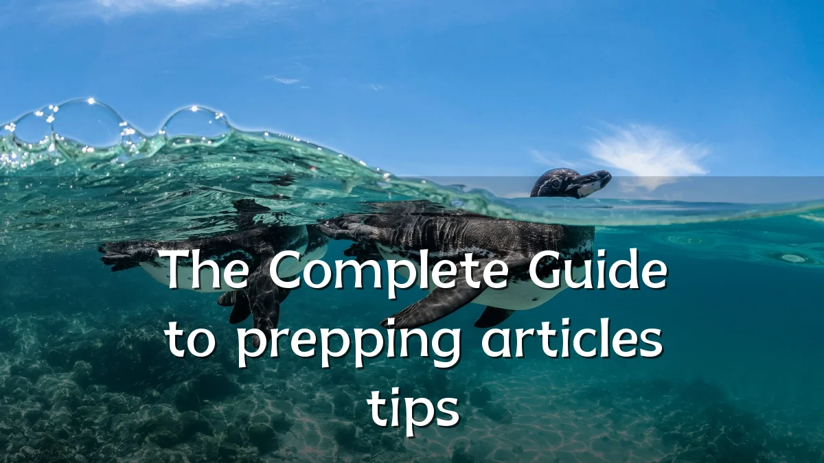 The Complete Guide to prepping articles tips