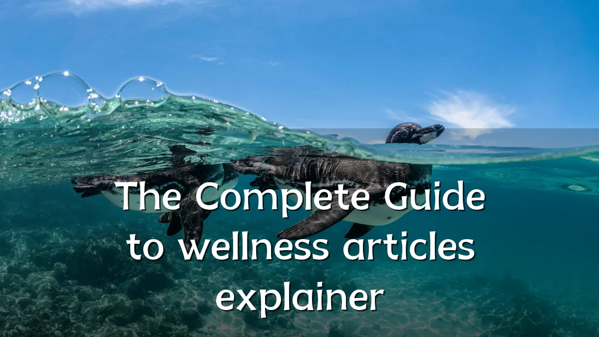 The Complete Guide to wellness articles explainer