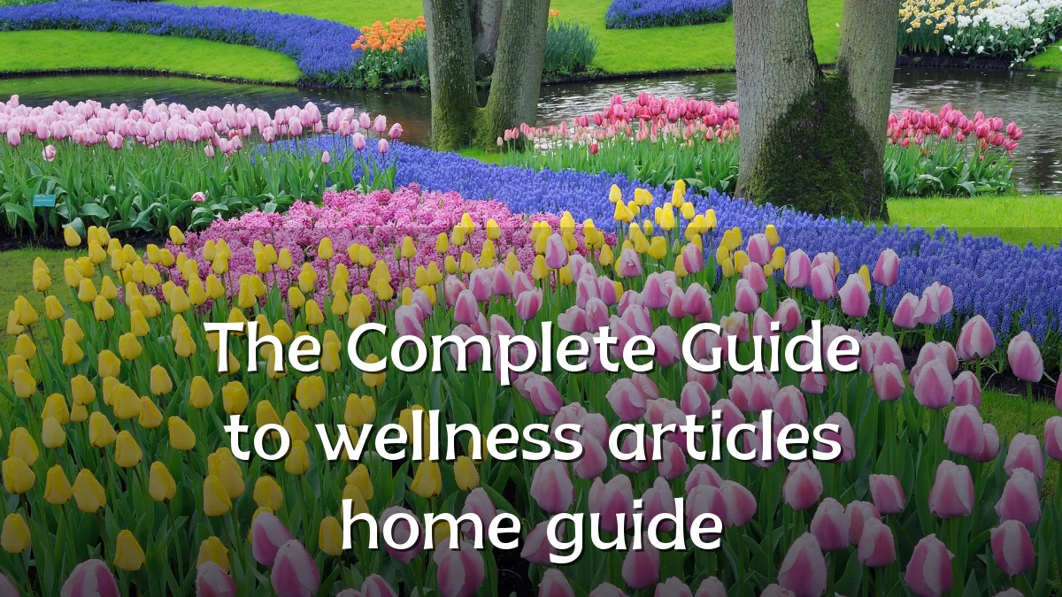 The Complete Guide to wellness articles home guide