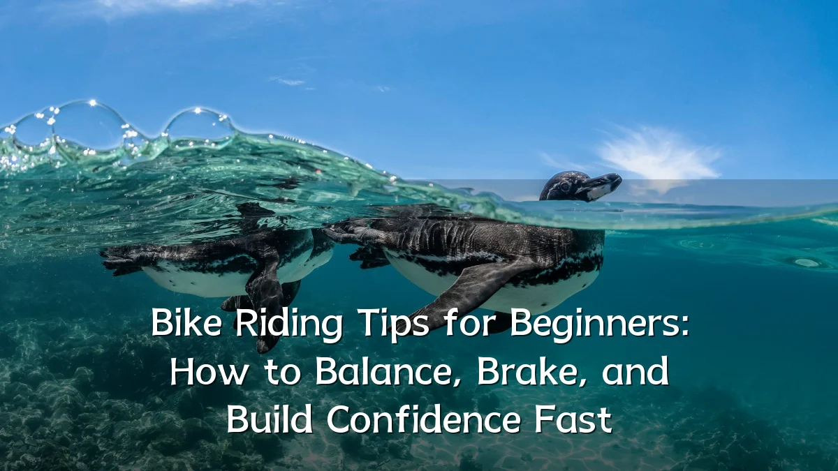 Bike Riding Tips for Beginners: How to Balance, Brake, and Build Confidence Fast