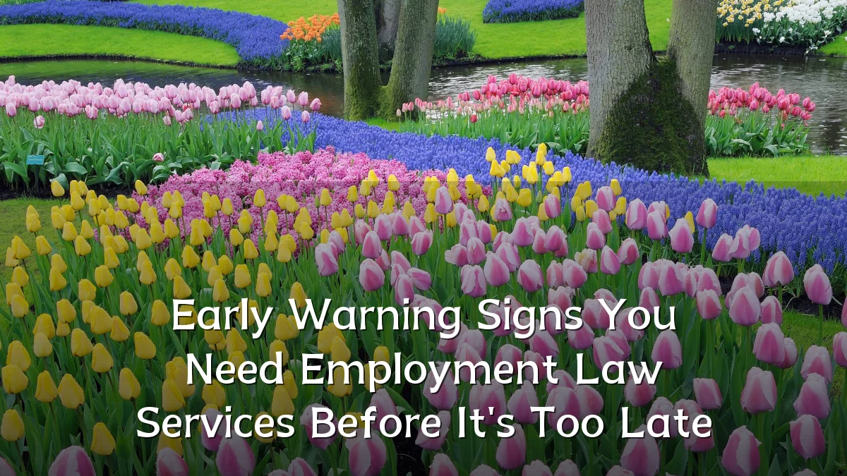 Early Warning Signs You Need Employment Law Services Before It's Too Late