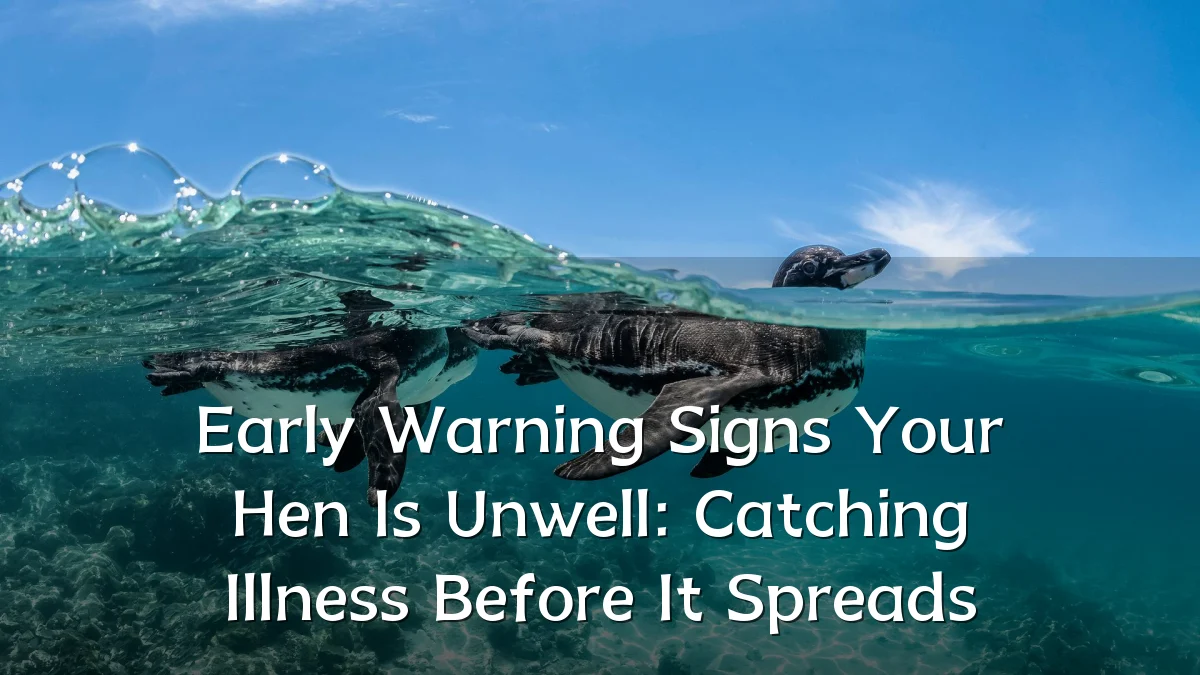 Early Warning Signs Your Hen Is Unwell: Catching Illness Before It Spreads