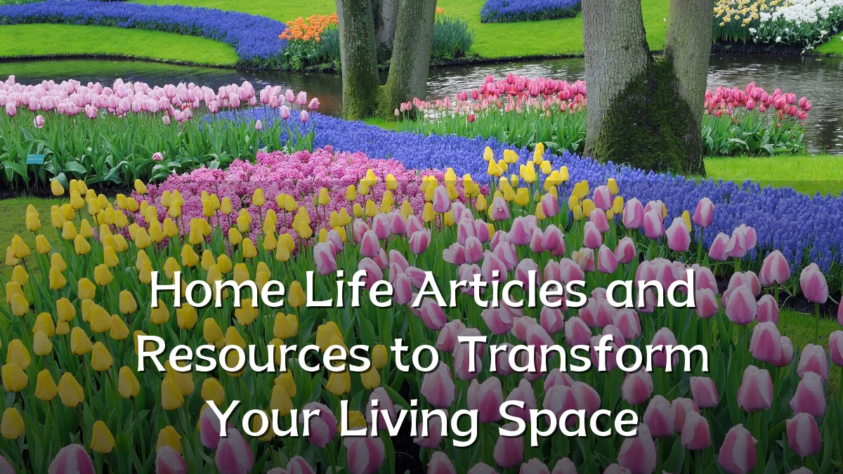 Home Life Articles and Resources to Transform Your Living Space