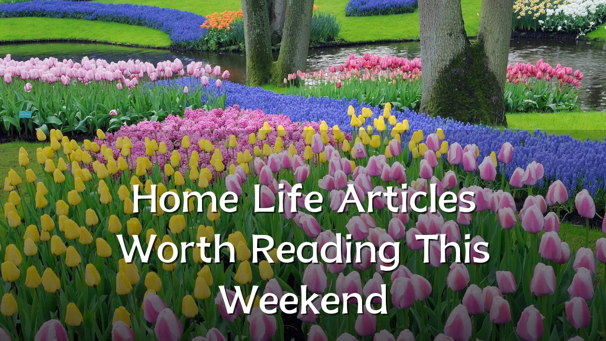 Home Life Articles Worth Reading This Weekend