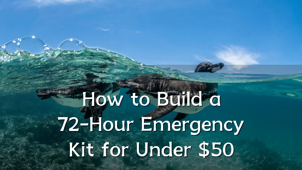 How to Build a 72-Hour Emergency Kit for Under $50