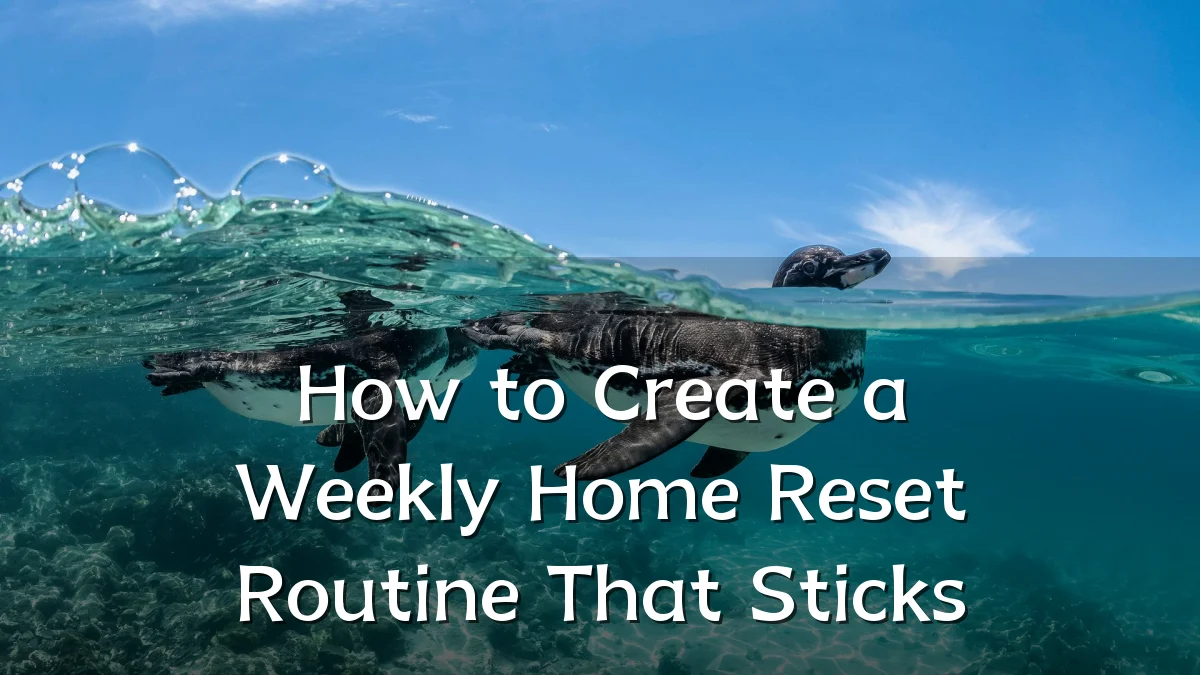 How to Create a Weekly Home Reset Routine That Sticks