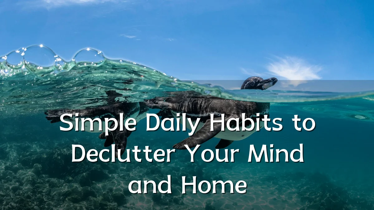 Simple Daily Habits to Declutter Your Mind and Home