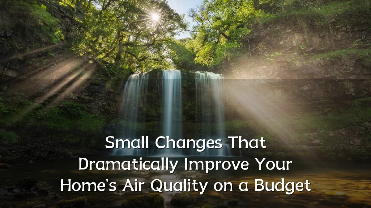 Small Changes That Dramatically Improve Your Home's Air Quality on a Budget