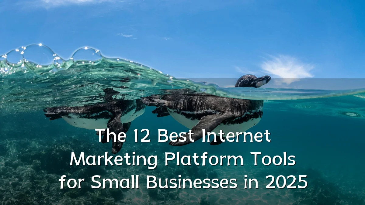 The 12 Best Internet Marketing Platform Tools for Small Businesses in 2025