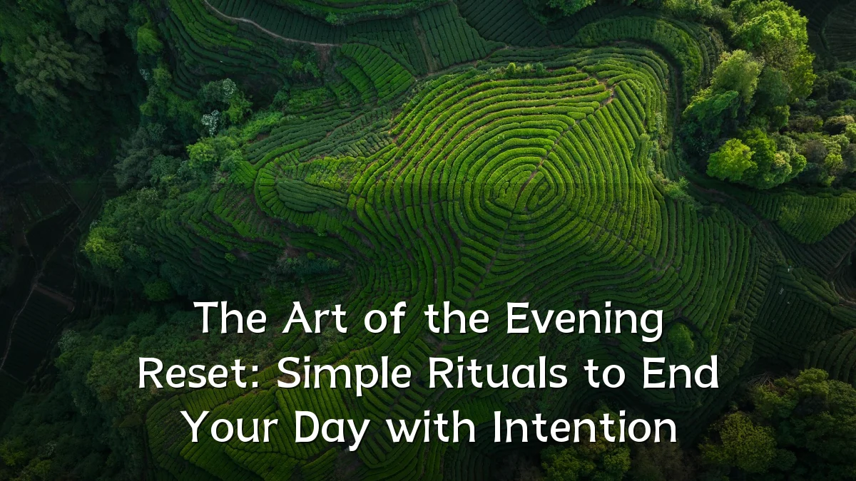 The Art of the Evening Reset: Simple Rituals to End Your Day with Intention