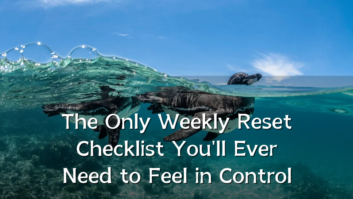The Only Weekly Reset Checklist You'll Ever Need to Feel in Control
