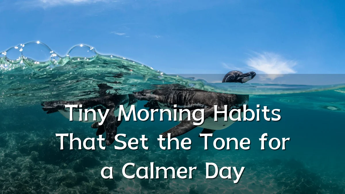 Tiny Morning Habits That Set the Tone for a Calmer Day