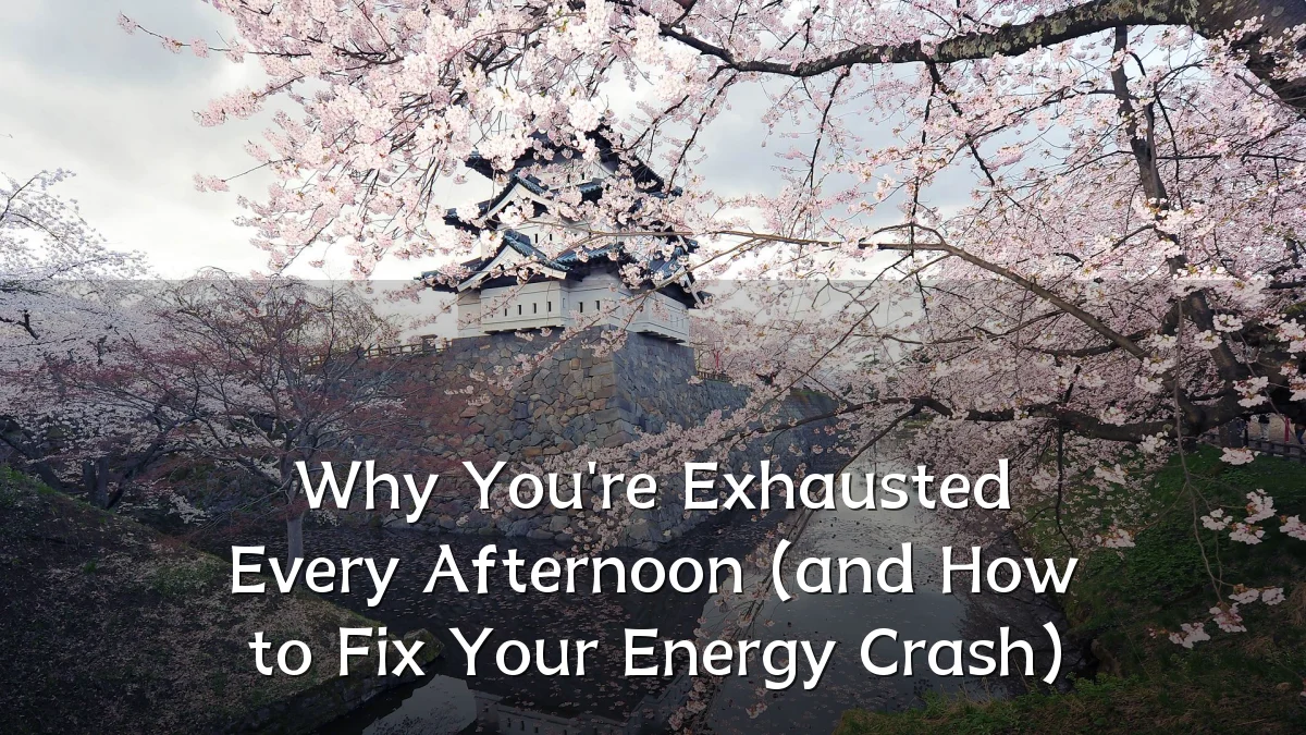 Why You're Exhausted Every Afternoon (and How to Fix Your Energy Crash)