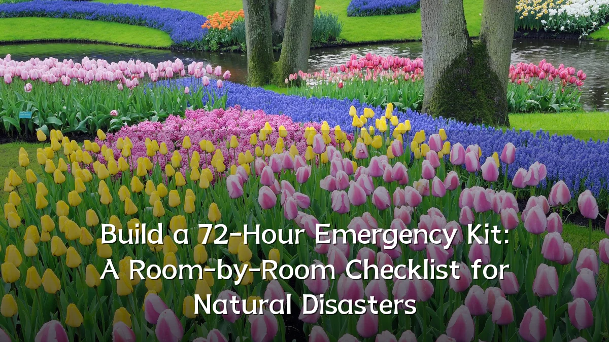 Build a 72-Hour Emergency Kit: A Room-by-Room Checklist for Natural Disasters