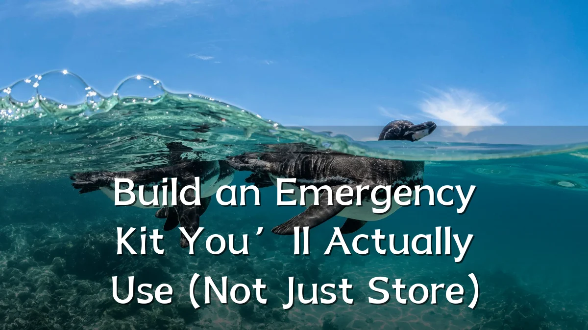 Build an Emergency Kit You’ll Actually Use (Not Just Store)