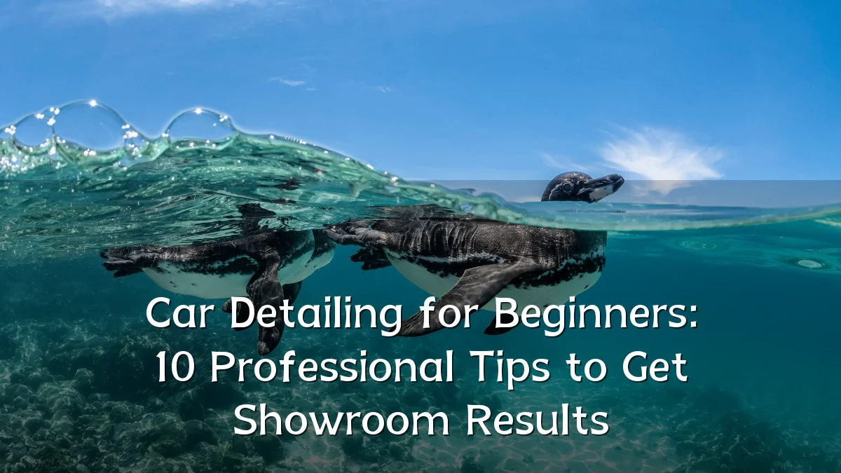 Car Detailing for Beginners: 10 Professional Tips to Get Showroom Results