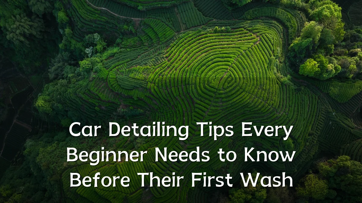 Car Detailing Tips Every Beginner Needs to Know Before Their First Wash