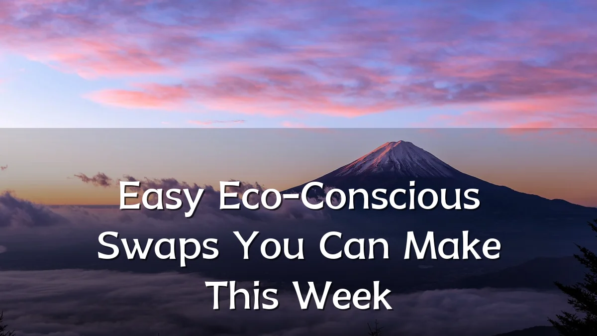 Easy Eco-Conscious Swaps You Can Make This Week