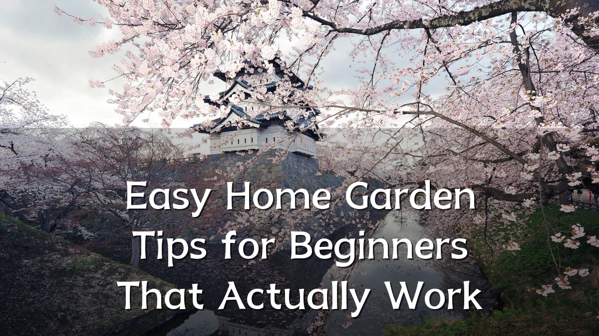 Easy Home Garden Tips for Beginners That Actually Work
