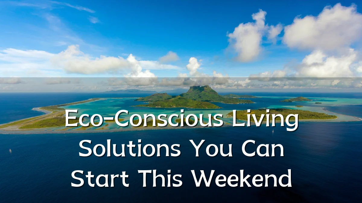 Eco-Conscious Living Solutions You Can Start This Weekend