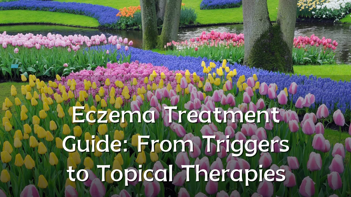 Eczema Treatment Guide: From Triggers to Topical Therapies