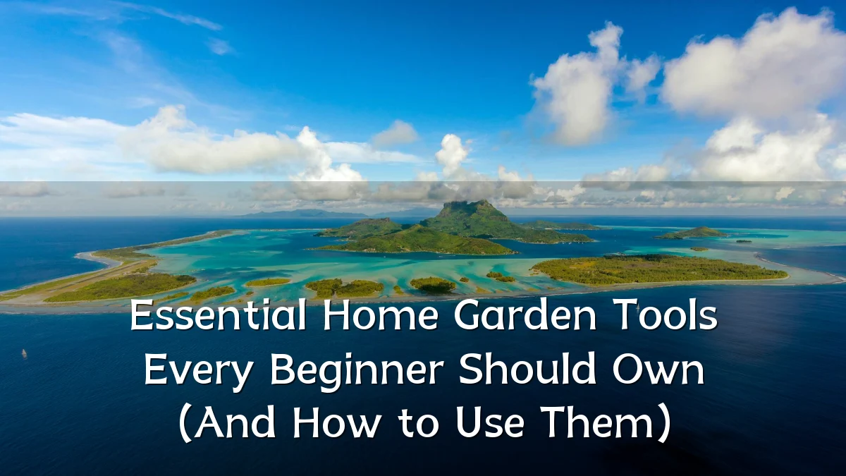 Essential Home Garden Tools Every Beginner Should Own (And How to Use Them)
