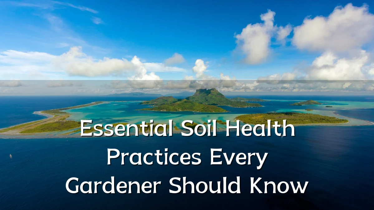 Essential Soil Health Practices Every Gardener Should Know