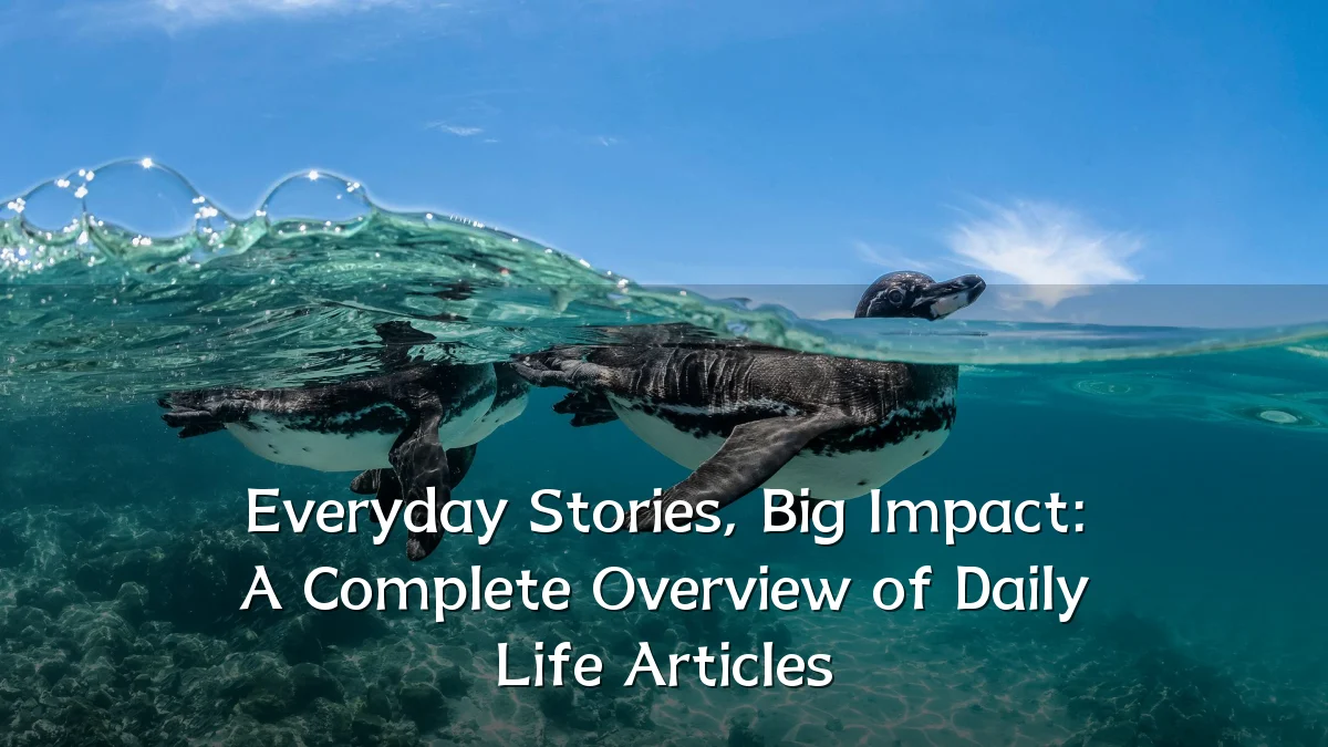 Everyday Stories, Big Impact: A Complete Overview of Daily Life Articles