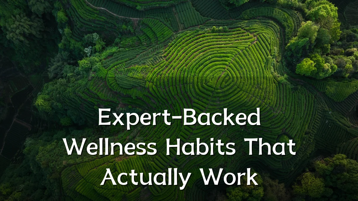 Expert-Backed Wellness Habits That Actually Work